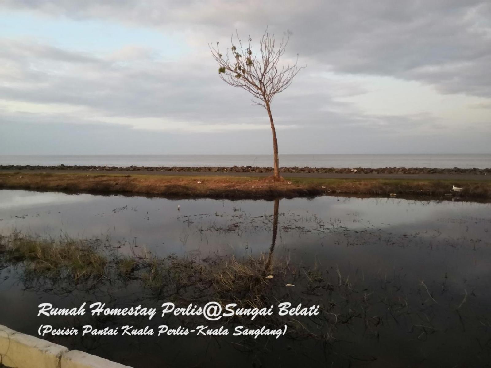 הוילה Simpang Empat  Rhumah Sungai Belati מראה חיצוני תמונה