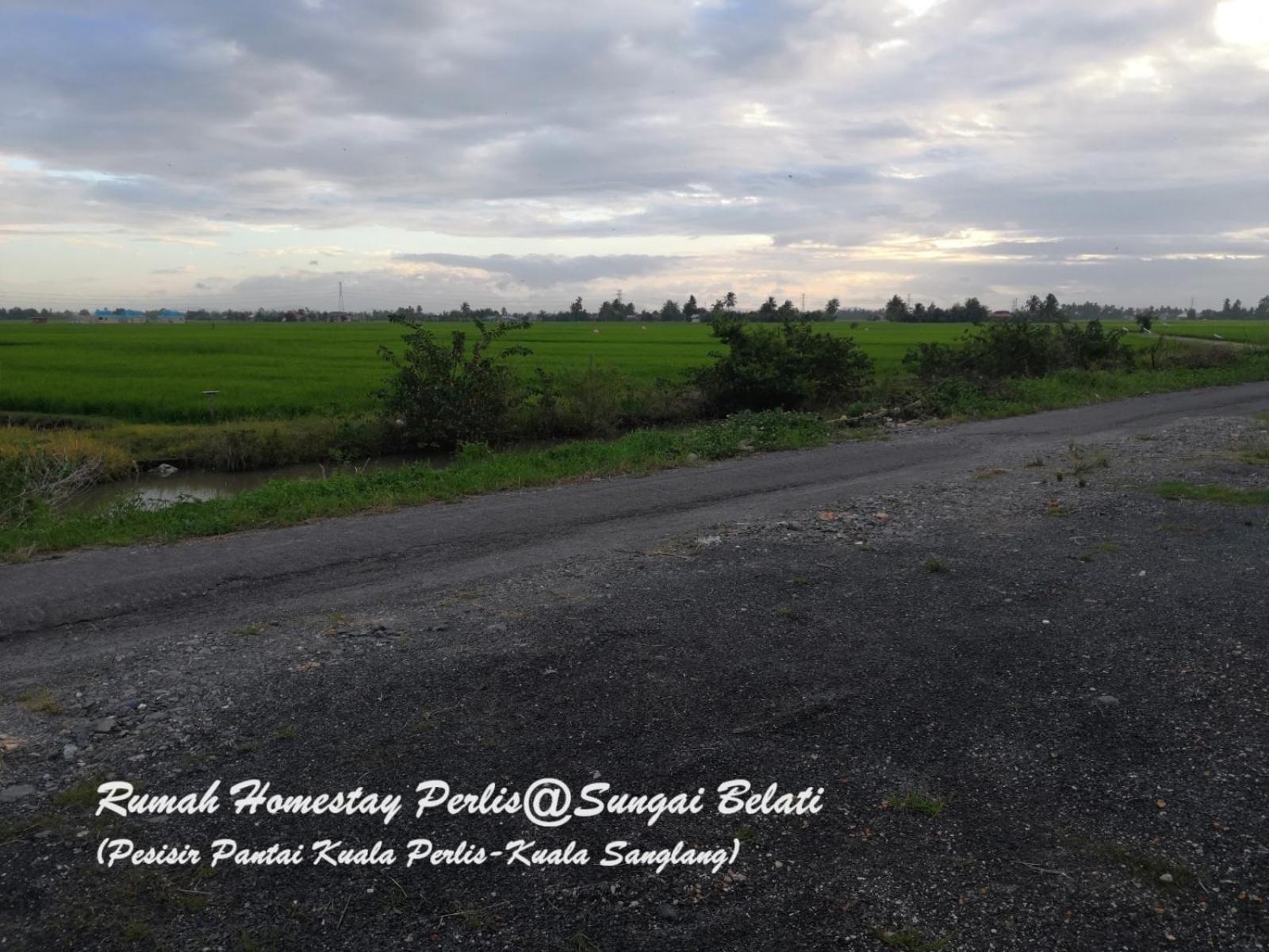 הוילה Simpang Empat  Rhumah Sungai Belati מראה חיצוני תמונה